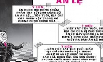 Án lệ số 06/AL/2016 của Chánh Tòa án nhân dân tối cao về 
